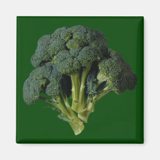 Broccoli Magneet