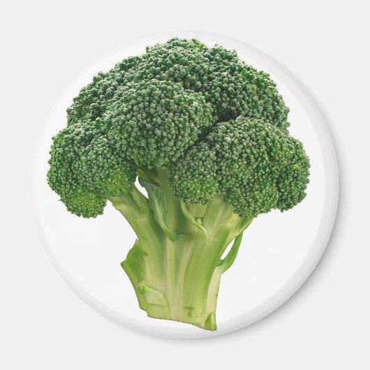 Broccoli Magneet (Voorkant)