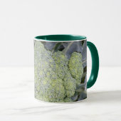 Broccoli-Mok Mok (Voorkant rechts)