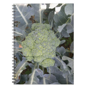 Broccoli-Notitieboek Notitieboek