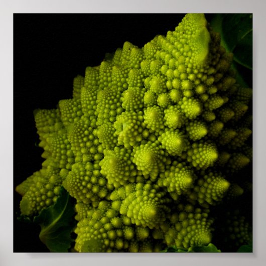 Broccoli Poster (Voorkant)