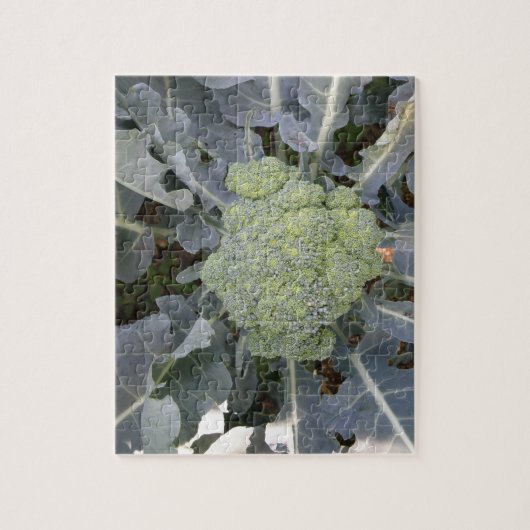 Broccoli Puzzle Legpuzzel (Verticaal)