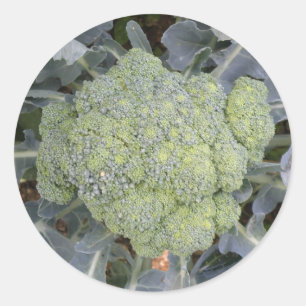 Broccoli Stickers