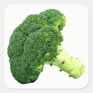 Broccoli Vierkante Sticker
