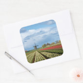 Brochure à vent et tulipes autocollant paysage (Enveloppe)