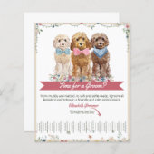 Brochure de la feuille de l'éleveur de chiens ador (Devant / Derrière)