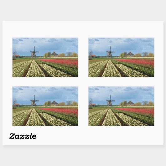 Brochure et tulipes paysage autocollant rectangula (Feuille)