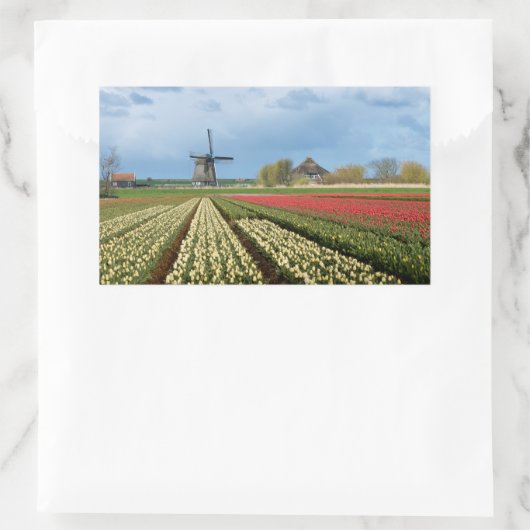 Brochure et tulipes paysage autocollant rectangula (Sac)