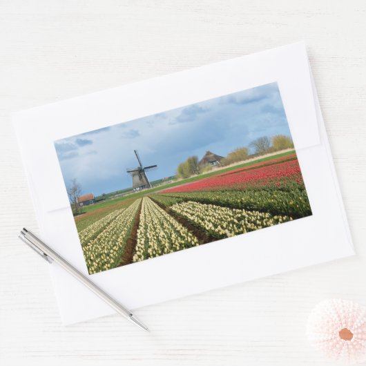Brochure et tulipes paysage autocollant rectangula (Enveloppe)