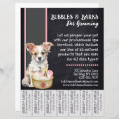 Brochure pour animaux de compagnie (Devant / Derrière)