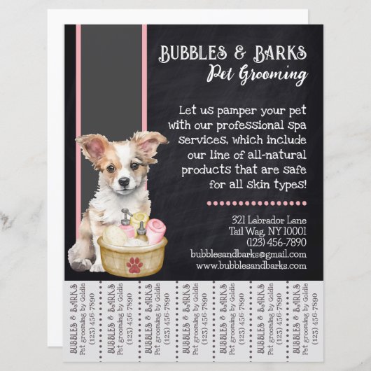 Brochure pour animaux de compagnie (Devant / Derrière)