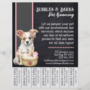 Brochure pour animaux de compagnie