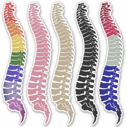 Brochures d'ordinateur portable, autocollants de c (Devant)