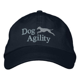 Brodée Agilité Italienne Gris Casquette brodé (Bleu)