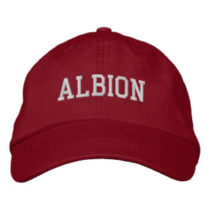 Brodée Albion Michigan Casquette de baseball brodé
