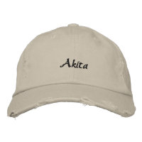 Casquette de baseball brodé Akita