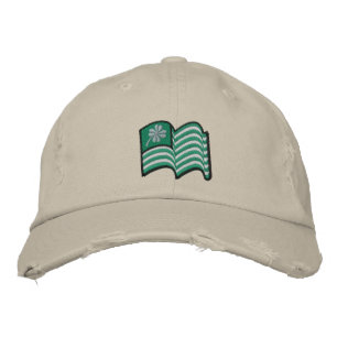 Brodée drapeau irlandais chanceux casquette de trèfle