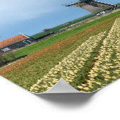 Broderie et tulipe - affiche du paysage (Coin)