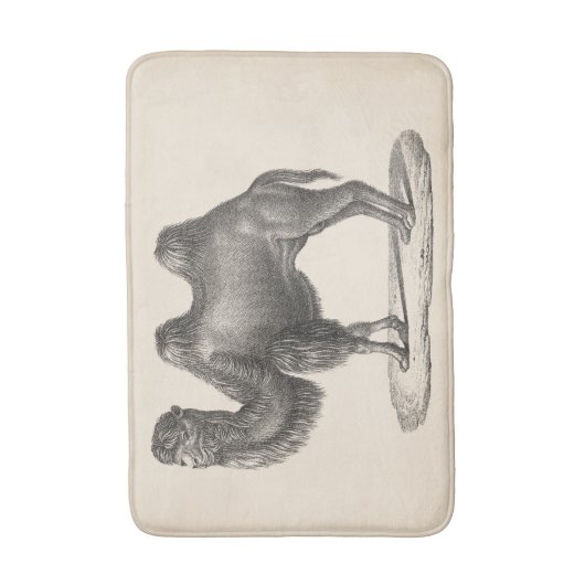 Brodtmann Camel Sketch Badmat (Voorkant Verticaal)