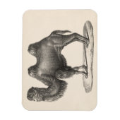 Brodtmann Camel Sketch Magneet (Verticaal)
