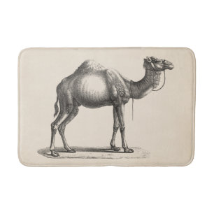 Brodtmann Dromedary Camel Sketch Badmat