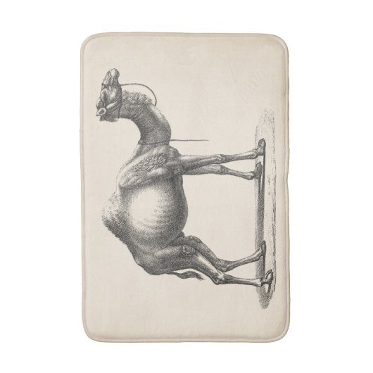 Brodtmann Dromedary Camel Sketch Badmat (Voorkant Verticaal)