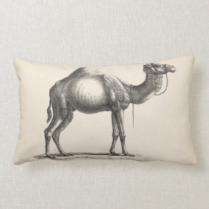 Brodtmann Dromedary Camel Sketch Kussen