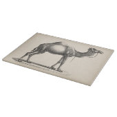 Brodtmann Dromedary Camel Sketch Snijplank (Hoek)
