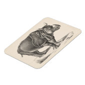 Brodtmann Rhinoceros Sketch Magneet (Linkerzijde)