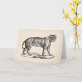 Brodtmann Tiger Sketch Kaart (Gele Bloem)