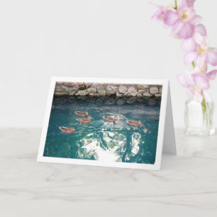 Broed Eenden in Majestueus Blauwwater Kaart