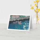 Broed van Eenden in Majestic Blauw Water Kaart (Gele Bloem)