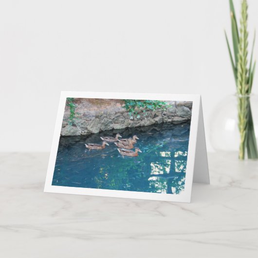 Broed van Eenden in Majestic Blauw Water Kaart (Voorkant)