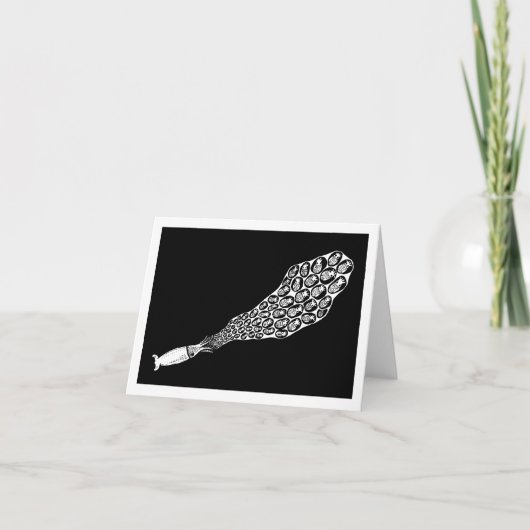 broedpijlinktvis kaart (Voorkant)