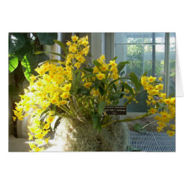 Broeikasbloemen Twee