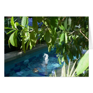 Broeikasbloemen Vijf