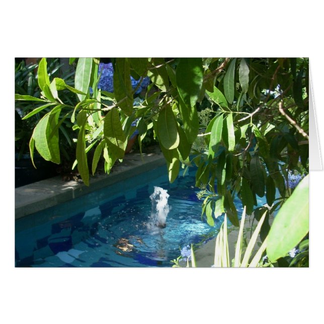 Broeikasbloemen Vijf (Voorkant Horizontaal)