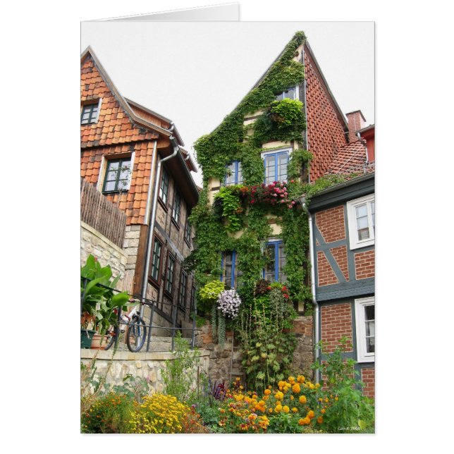 broeikaseffect (Voorkant)