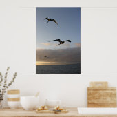 broekvogels in de zon poster (Keuken)