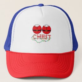 Broer Beer LGBT Kerstmis Regenboog Pride Homoseksu Trucker Pet