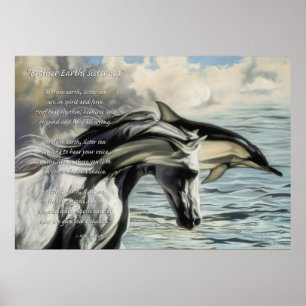 Broer Earth, zuster Zee Poster