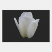 Broer/zuster-verjaardag Inpakpapier Vel (Voorkant 2)