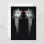 Broers 2013 briefkaart (Voorkant / Achterkant)