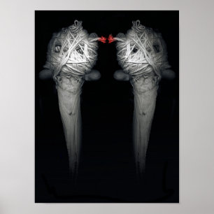 Broers 2013 poster