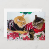 Broers Briefkaart (Voorkant / Achterkant)