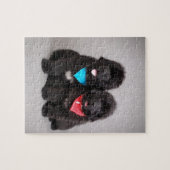 Broers Nuwfie Legpuzzel (Horizontaal)