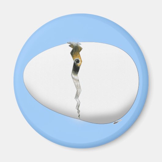 Brokeieren Magneet (Voorkant)