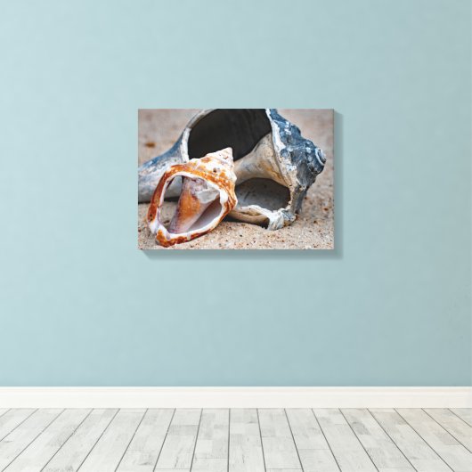 Broken Beach Beauties #2 Canvas Afdruk (Insitu (Houten vloer))