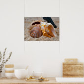 Broken Beach Beauties #2 Poster (Keuken)