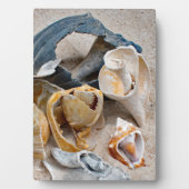 Broken Beach Beauties Fotoplaat (voorkant)